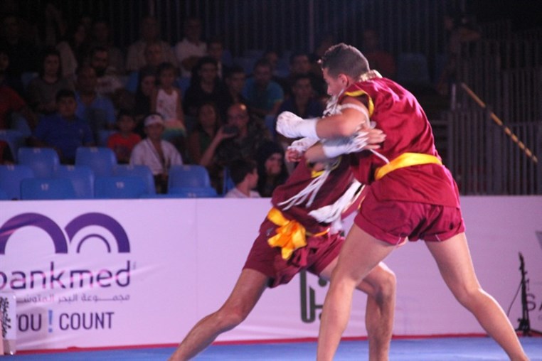 Martial Arts Festival